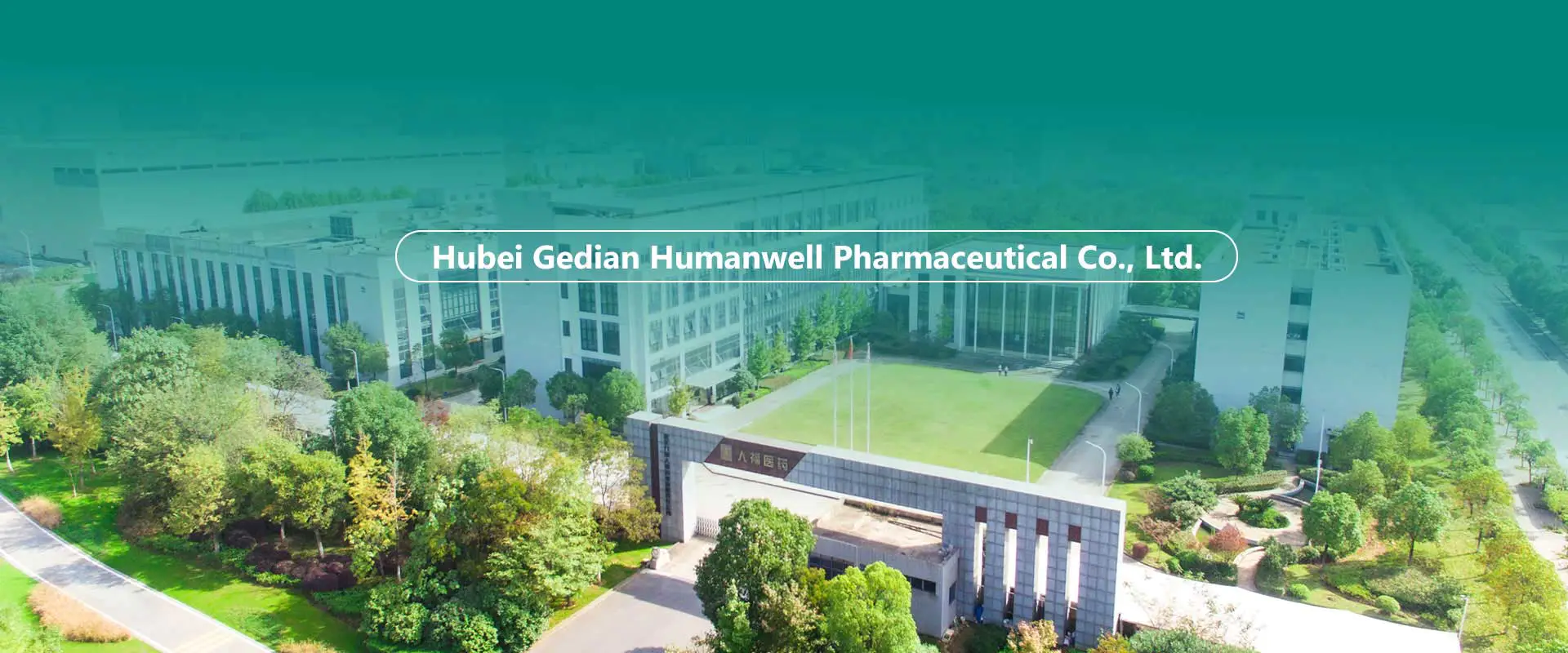 Kina API'er, mellemprodukter, formuleringsfabrik