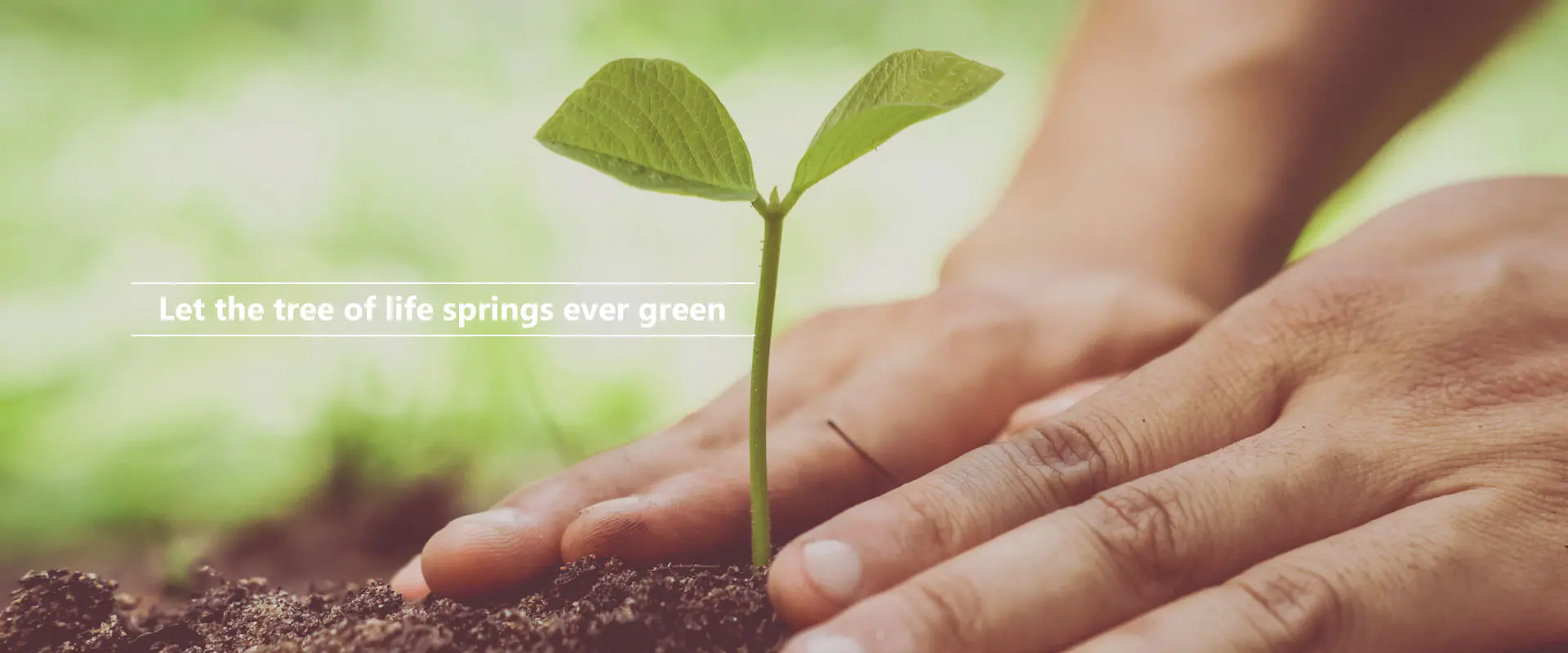 Lad livets træ kilde altid grønt
