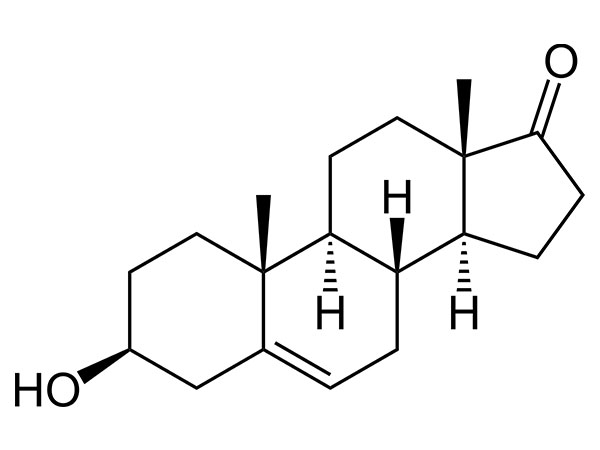 DHEA (prasterone)